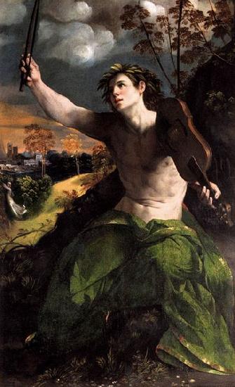 Dosso Dossi Apollo and Daphne oil painting image